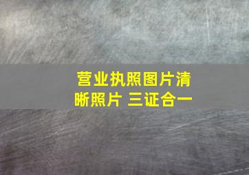 营业执照图片清晰照片 三证合一